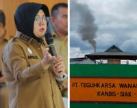 Bupati Siak, Afni panggil pimpinan PT Teguh Karsa Wana Lestari (foto/int)
